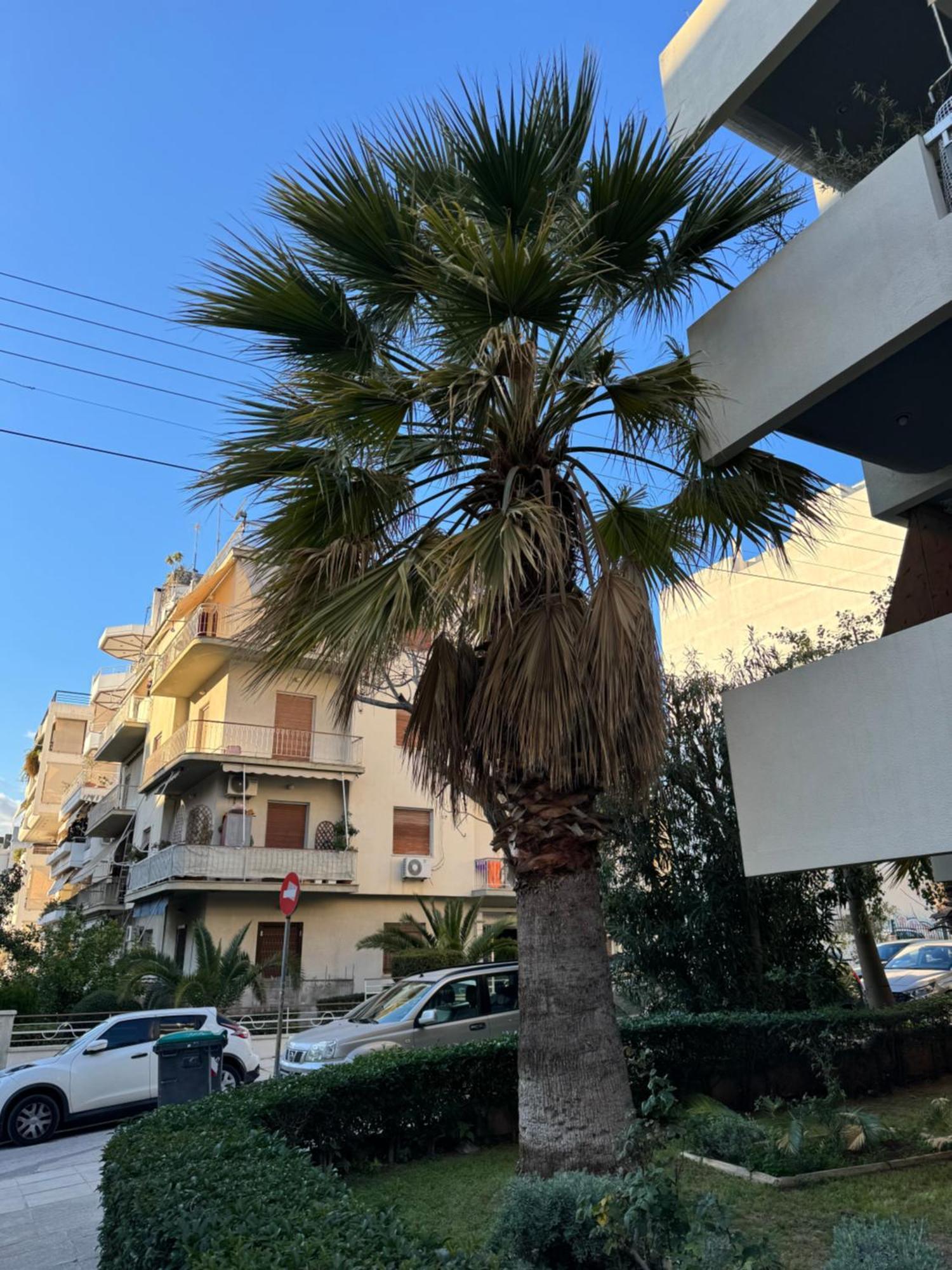 Cozy Home In Nea Smirni Atenas Exterior foto